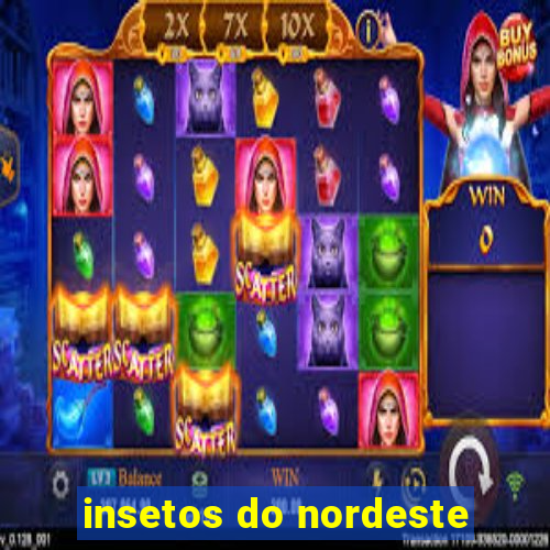 insetos do nordeste